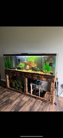 125 gallon fish tank & stand63668760892929120