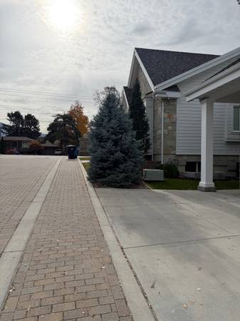 15 Hour a week housekeeper 1