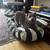 Dogwalker/Overnight Housesitting - Beloved dog & cat whisperer, is me! 15 thumbnail