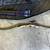 Like New: Recurve Bow with a dozen arrows and Bag 3 thumbnail
