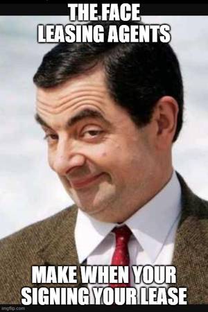 COMFORTABLE LIVING WITHOUT THE HASSEL @PARK VISTA APARTMENTS 1