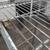 4 Tier Shelf Complete shelving unit with 48×18″ Zinc Plated Metro 21 thumbnail