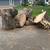 FREE OAK FIREWOOD!!! 1 thumbnail