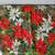 Christmas Table Runners: Poinsettia, Red, Santa, Snowman Holiday Decor 11 thumbnail