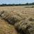 Excellent Large Round Bales 3 thumbnail