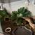 Reptile 4 level enclosure $350 3 thumbnail