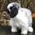 Holland Lop Bunny Rabbit - "Fluff" 12 thumbnail