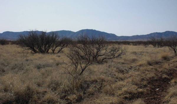 $3,000 1.08 off-grid acres of land in Pearce Arizona with mountain views! (E. Bryant St. Pearce AZ)63664778300289122
