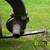 Agri-Fab leaf vacuum 4 thumbnail