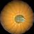 Halloween Pumpkin 3 thumbnail
