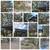 Tree  services, landscaping 4 thumbnail