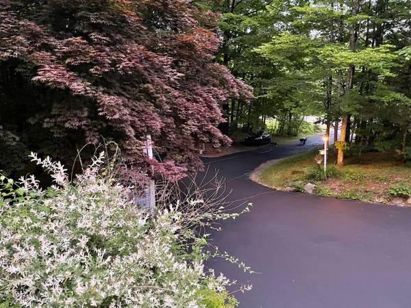 $150 / 3br - HOME CO-SHARE LEE , NH   (10M. Ports.50M to Bost.30M toManch/Conc. (Lee)63656227599235123