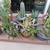 A beautiful Desert Garden Oasis can be yours. 7 thumbnail