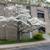 3BR/1BA Condo 1 thumbnail