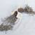 Pottery Barn Pepperberry Garland (60”), Metal Silver with Mini Bells 6 thumbnail