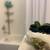 East Austin Bungalow 1Bd 1Ba 8 thumbnail