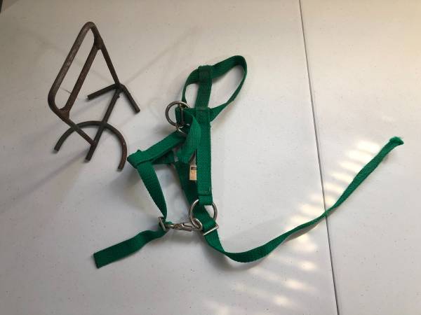 Branding Iron, Halter 1