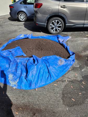 FREE Compost ( limited supply ) for now, also have for sale. 1