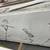 Calacatta Vega Quartz countertop 6 thumbnail