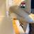 LZ129 Zeppelin Scale Model 11 thumbnail