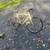 10 SPEED BICYCLE/ MAKE UNKNOWN 2 thumbnail