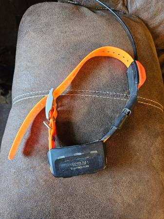 Garmin collar T5 1