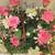 Silk Flower Arrangement 2 thumbnail