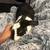Rehoming Bunny! 9 thumbnail