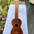 ⭐️UKULELES VINTAGE HAWAIIAN AND MARTIN 1 thumbnail