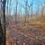 1.42 Acres in Waynesville - 123 Live Oak Lp, Lot 29 6 thumbnail