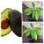 Hass Avocado 🥑 Fruit Tree in 1 Gallon Pot Live Plant 1 thumbnail