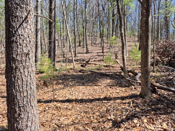 $139,000 17.5 Beautiful Acres (Morganton)64029205807362121