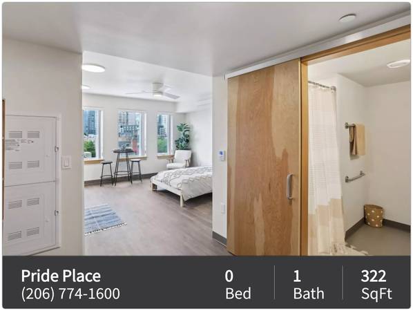 $1,100 / 322ft2 - The essence of graceful living: Our Studio 322 Sq Ft is the answer. (Seattle)63799881113985121