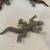 10 LARGE PLASTIC LIZARDS $5 3 thumbnail