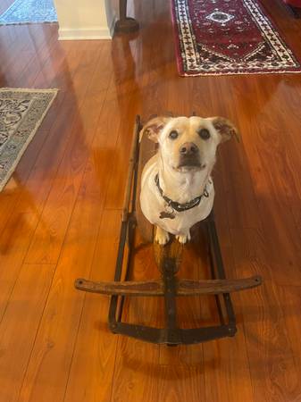 Rare Antique Flexible Flyer Airline Pursuit.  Number 47  Sled. C 1930’s 1