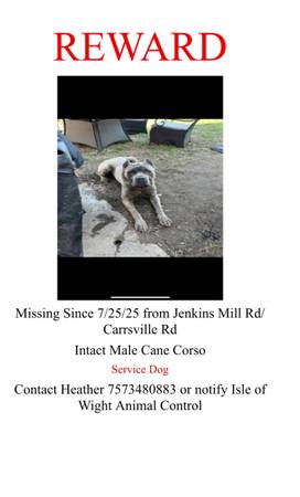 Perro de servicio perdido (Carrsville)63882831176577120