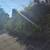 🌲☘️🌳🌳🌳🌳🌳🌲🪴AFFORDABLE TREE AND LANDSCAPE SERVICE INC 21 thumbnail