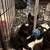 Kitten kittens 7 weeks old rehoming fee $50 7 thumbnail