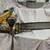 McCullough M47 2 thumbnail