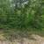 11857 S Holly Lucius Road 9 thumbnail