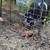 IPP Breeding pair 6 thumbnail