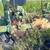 Parting out John deere 4010 diesel  motor stuck 3 thumbnail