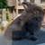 RABBIT HERD REDUCTION 7 thumbnail