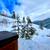 Room for rent inside the National Forest near Jackson Hole 5 thumbnail