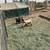 Poled Nigerian Dwarf wethers 2 thumbnail