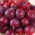 Fruit Trees all dwarf ............prices reduced 16 thumbnail
