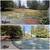 Junk Removal, Yard Clean-up, Landscape, Tree Service and Concrete (Yard Clean-up 9 thumbnail