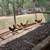 Gallinas y pollitas ,chivos y borregos. 3 thumbnail