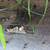 John Deere 310B 1985 Needs differential repair 6 thumbnail