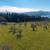 Rare Development Property in White Salmon - RMLS#519552276 1 thumbnail